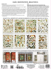 Load image into Gallery viewer, IOD Millot's Pages Transfer