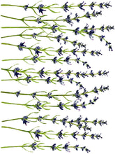 Load image into Gallery viewer, IOD Painterly Florals Decor Transfer - Iron Orchid Designs
