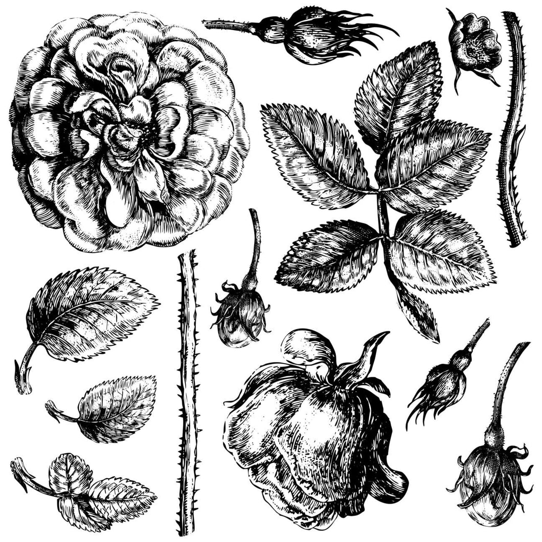 IOD Lady Shalott 12×12 DECOR STAMP 2 Sheets - Retiring