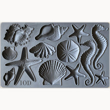 Load image into Gallery viewer, IOD Sea Shell - Iron Orchid Designs
