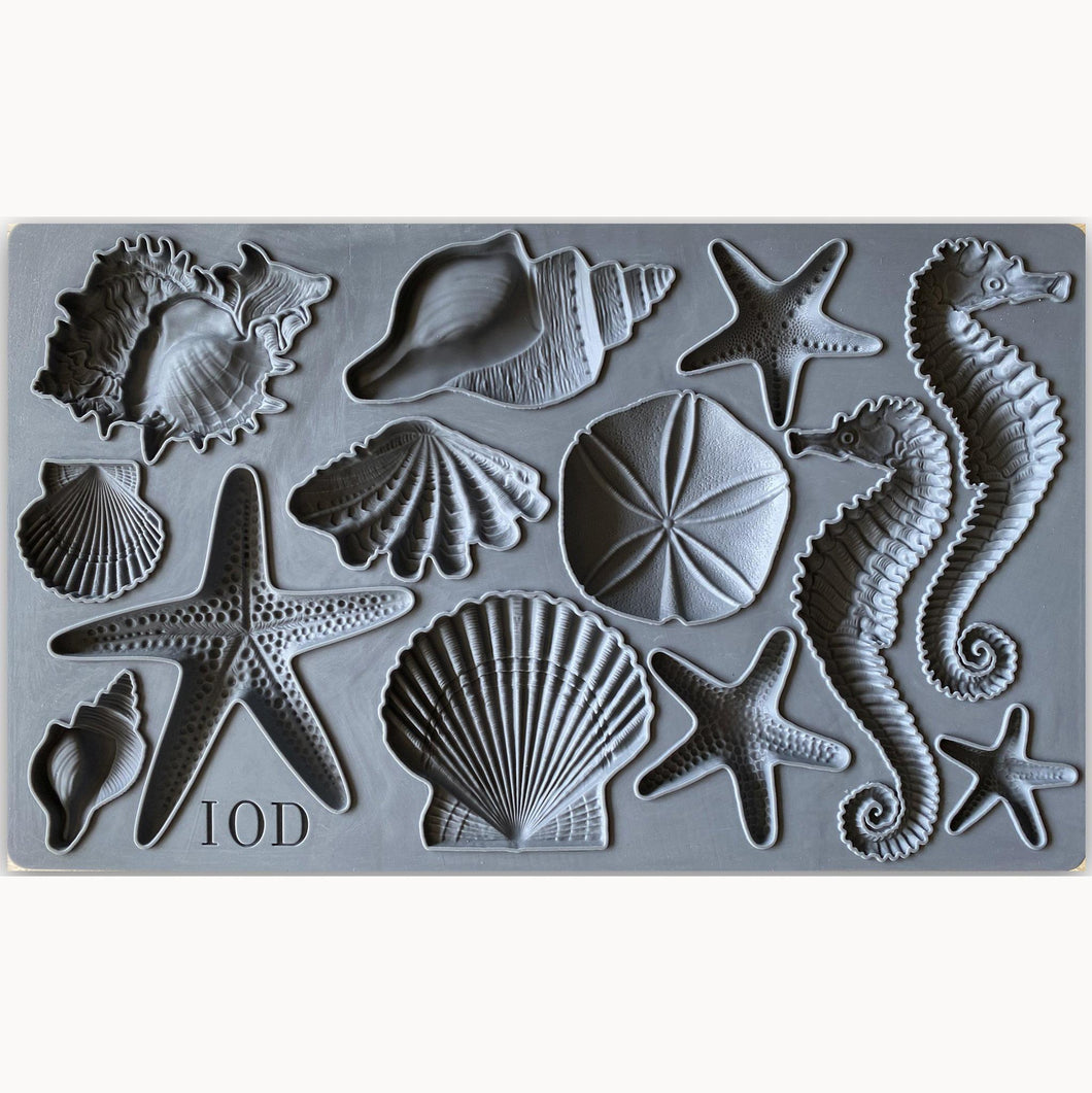 IOD Sea Shell - Iron Orchid Designs