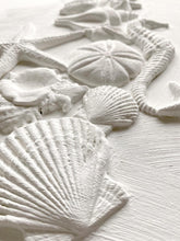 Load image into Gallery viewer, IOD Sea Shell - Iron Orchid Designs
