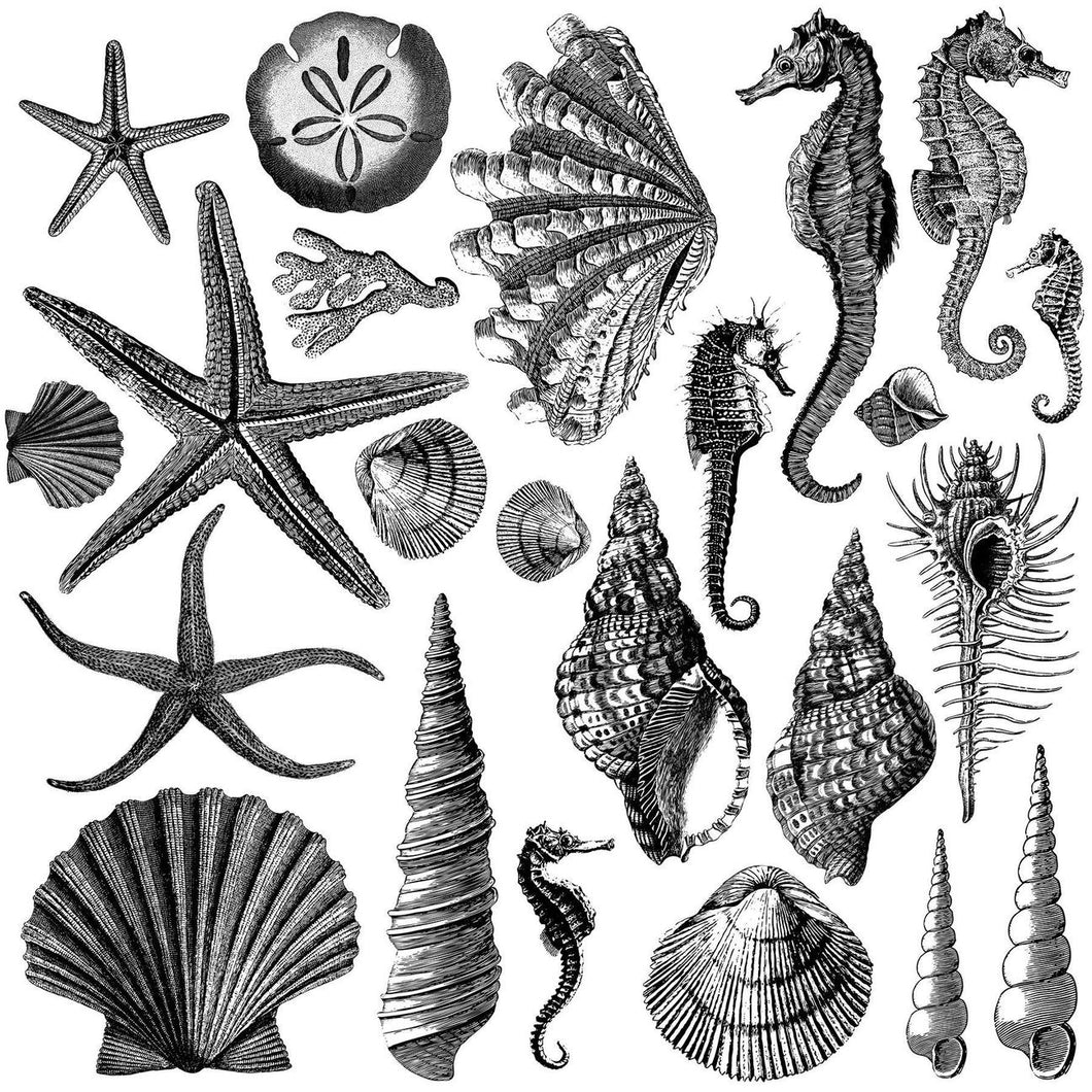 IOD Seashore Decor Stamp - Iron Orchid Designs
